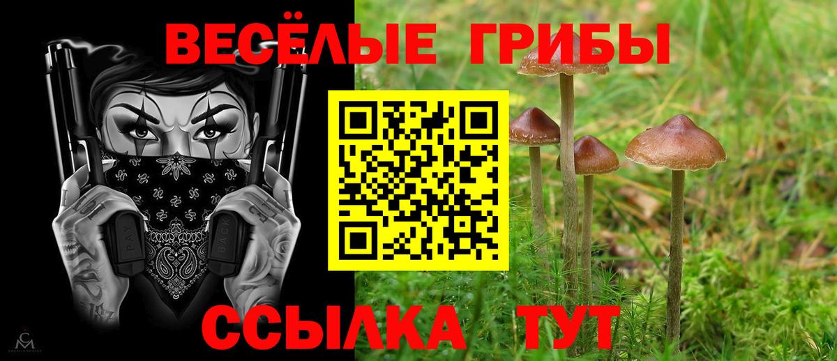 Казань  Псилоцибиновые грибы Psilocybine cubensis  Вход с VPN  Галлюциногенные грибы GOLDEN TEACHER 